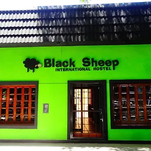  Albergue Black Sheep International